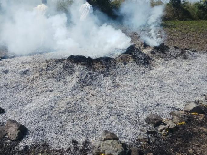 Soak of the beans catch fire at Bhokarkhed | भोकरखेड येथे आगीत सोयाबिनची सुडी जळून खाक Soak of the beans catch fire at Bhokarkhed | भोकरखेड येथे आगीत सोयाबिनची सुडी जळून खाक