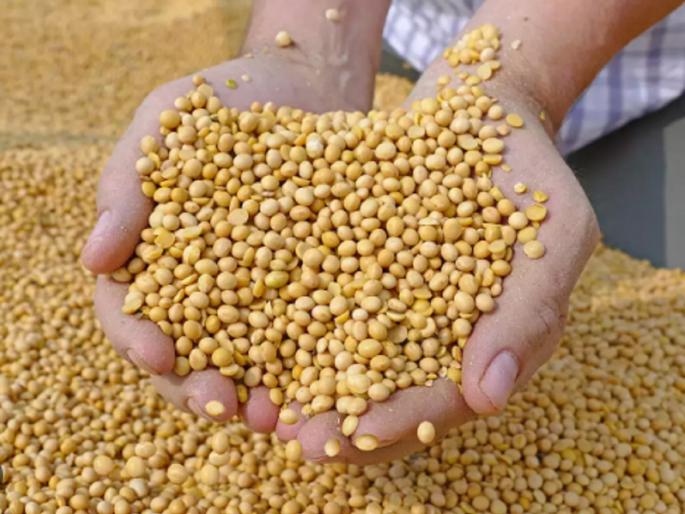 A week later, the deal was struck; Soybean arrival and price stable! | आठवडाभरानंतर निघाला सौदा; सोयाबीन आवक अन् दर स्थिर! A week later, the deal was struck; Soybean arrival and price stable! | आठवडाभरानंतर निघाला सौदा; सोयाबीन आवक अन् दर स्थिर!
