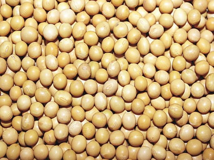 growth in jalana market in Navratri | नवरात्रौत्सवात जालना बाजारपेठेत तेजीची आशा