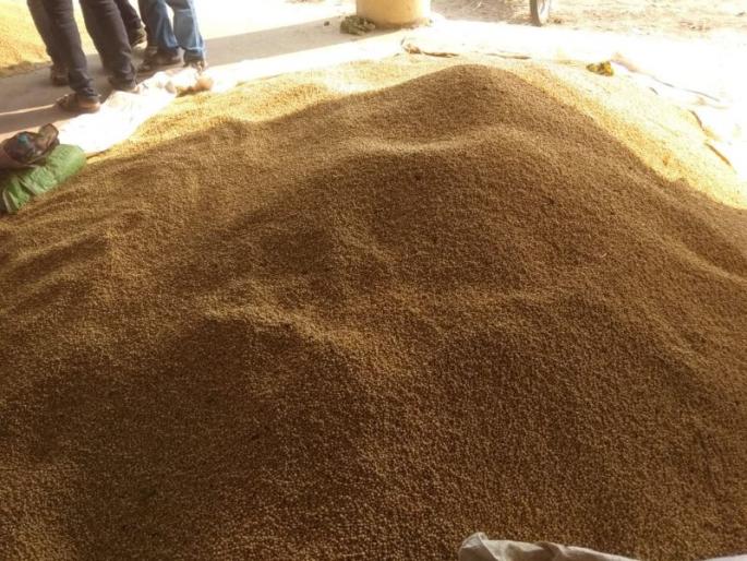 Purchase at soya beans lower than MSP Rates | अनसिंग उपबाजारात सोयाबीनची हमीपेक्षा कमी दराने खरेदी Purchase at soya beans lower than MSP Rates | अनसिंग उपबाजारात सोयाबीनची हमीपेक्षा कमी दराने खरेदी