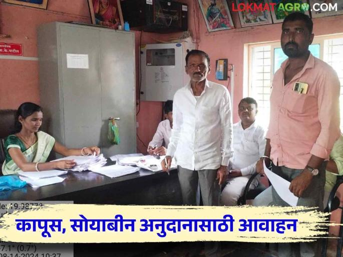 Latest News Agriculture News No Objection Certificate, Consent Letter and Aadhaar Card required for Cotton, Soybean Subsidy | Cotton Subsidy : 'ही' कागदपत्रे सोबत ठेवा, कापूस, सोयाबीन अनुदानासाठी शेतकऱ्यांना आवाहन Latest News Agriculture News No Objection Certificate, Consent Letter and Aadhaar Card required for Cotton, Soybean Subsidy | Cotton Subsidy : 'ही' कागदपत्रे सोबत ठेवा, कापूस, सोयाबीन अनुदानासाठी शेतकऱ्यांना आवाहन