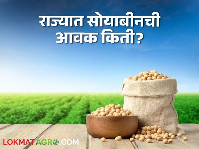 Latest News Todays Soyabean Market price in tasagaon market yard check here | Soyabean Market : केवळ तासगाव बाजार समितीत सोयाबीनला हमीभाव, वाचा आजचे बाजारभाव 