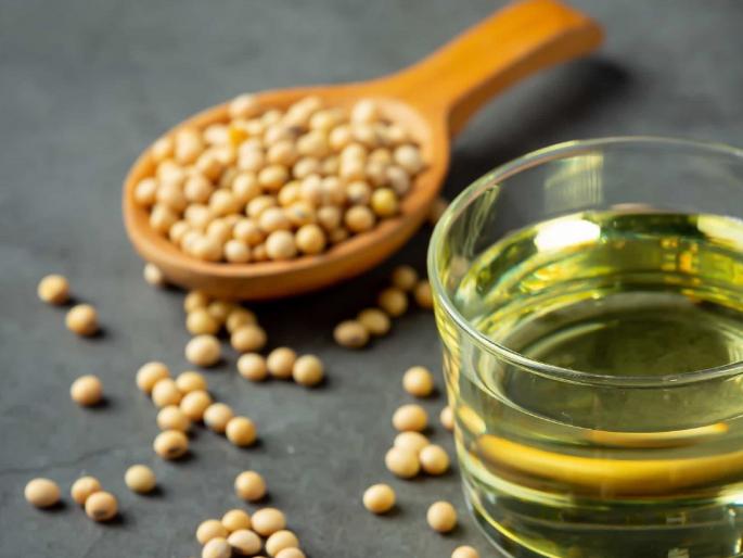 524 crore fund for pulses productivity enhancement and value chain development scheme | गळितधान्य उत्पादकता वाढ व मूल्य साखळी विकास योजनेसाठी ५२४ कोटीचा निधी 524 crore fund for pulses productivity enhancement and value chain development scheme | गळितधान्य उत्पादकता वाढ व मूल्य साखळी विकास योजनेसाठी ५२४ कोटीचा निधी