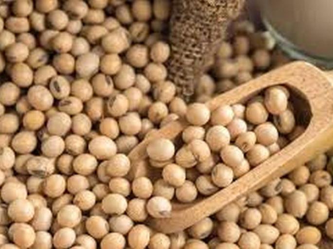 SoyaBeans prices will rise | सोयाबीनचे दर वाढणार SoyaBeans prices will rise | सोयाबीनचे दर वाढणार
