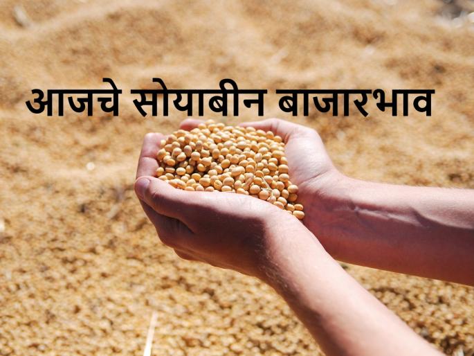 Today's soyabean price in major markets of Maharashtra state | आज सोयाबीनला कुठल्या मार्केटमध्ये जास्त बाजारभाव मिळाला? जाणून घ्या Today's soyabean price in major markets of Maharashtra state | आज सोयाबीनला कुठल्या मार्केटमध्ये जास्त बाजारभाव मिळाला? जाणून घ्या