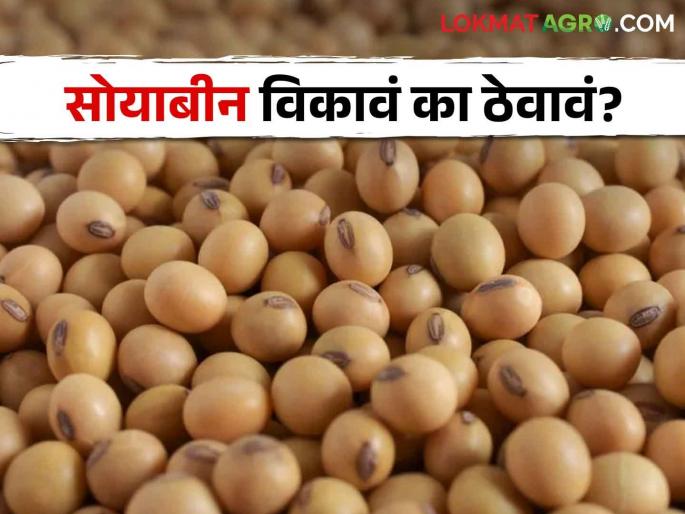 Soybean Market; How was the price of soybeans last year, will the price increase this year? | Soybean Market मागील वर्षभरात सोयाबीनचे दर कसे राहिले, यंदा वाढेल का भाव? Soybean Market; How was the price of soybeans last year, will the price increase this year? | Soybean Market मागील वर्षभरात सोयाबीनचे दर कसे राहिले, यंदा वाढेल का भाव?