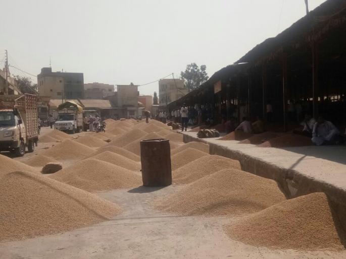 Washim market committee: soybean rates reduced by Rs. 200 | वाशिम बाजार समितीत २०० रुपयाने कमी झाले सोयाबीनचे दर ! Washim market committee: soybean rates reduced by Rs. 200 | वाशिम बाजार समितीत २०० रुपयाने कमी झाले सोयाबीनचे दर !