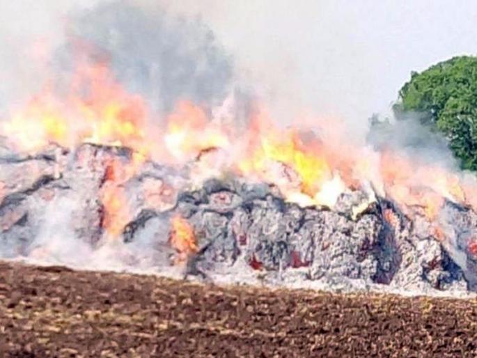 An aggrieved farmer stamped the soya bean, the nature of the nature of the seven acres of water | संतप्त शेतक-याने सोयाबीनची पेटविली गंजी, निसर्गाच्या अवकृपेने सात एकरांवर फेरले पाणी An aggrieved farmer stamped the soya bean, the nature of the nature of the seven acres of water | संतप्त शेतक-याने सोयाबीनची पेटविली गंजी, निसर्गाच्या अवकृपेने सात एकरांवर फेरले पाणी