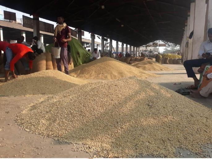 Sale of one quintal of soybeans at the price of 25 kg of seeds How to live question by farmers to government | २५ किलो बियाण्यांच्या भावात एक क्विंटल सोयाबिनची विक्री; जगावे तरी कसे? शेतकऱ्यांंचा प्रश्न Sale of one quintal of soybeans at the price of 25 kg of seeds How to live question by farmers to government | २५ किलो बियाण्यांच्या भावात एक क्विंटल सोयाबिनची विक्री; जगावे तरी कसे? शेतकऱ्यांंचा प्रश्न