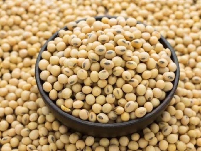 Soyabean; The probability of going up to five thousand rupees | सोयाबीनला सोन्याची चकाकी; दर पाच हजार रू पयांपर्यंत जाण्याची शक्यता Soyabean; The probability of going up to five thousand rupees | सोयाबीनला सोन्याची चकाकी; दर पाच हजार रू पयांपर्यंत जाण्याची शक्यता