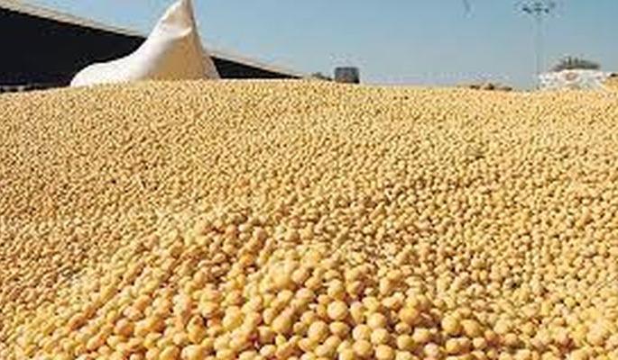 Soybean prices drop sharply! | सोयाबीनच्या दरात मोठी घट! Soybean prices drop sharply! | सोयाबीनच्या दरात मोठी घट!