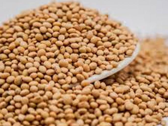 Lack of required documentation; Sales of 1846 bags of soybeans stopped | आवश्यक कागदपत्रांचा अभाव; सोयाबीनच्या १८४६ बॅगची विक्री थांबविली Lack of required documentation; Sales of 1846 bags of soybeans stopped | आवश्यक कागदपत्रांचा अभाव; सोयाबीनच्या १८४६ बॅगची विक्री थांबविली
