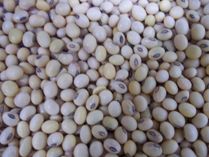 Will provide seeds or financial assistance in exchange for inferior seeds | निकृष्ट बियाण्यांच्या मोबदल्यात बियाणे किंवा आर्थिक मदत देणार Will provide seeds or financial assistance in exchange for inferior seeds | निकृष्ट बियाण्यांच्या मोबदल्यात बियाणे किंवा आर्थिक मदत देणार