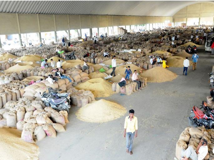 3 lakh 90 thousand 156.02 quintal soybeans sold to private traders in wardha dist | तब्बल ३.९० लाख क्विंटल सोयाबीन व्यापाऱ्यांच्या घशात 3 lakh 90 thousand 156.02 quintal soybeans sold to private traders in wardha dist | तब्बल ३.९० लाख क्विंटल सोयाबीन व्यापाऱ्यांच्या घशात
