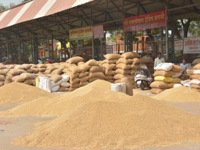 Soybeans rate hike in Akola and washim market | पश्चिम वऱ्हाडात सोयाबीनला झळाळी! Soybeans rate hike in Akola and washim market | पश्चिम वऱ्हाडात सोयाबीनला झळाळी!