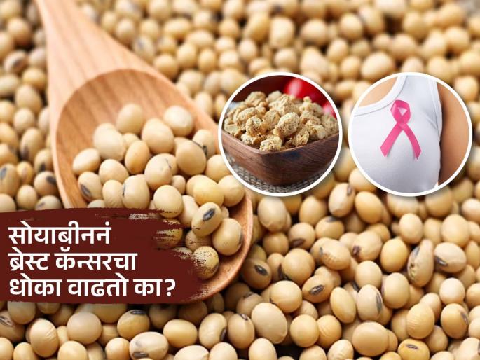 Doctor tells does eating soybeans increase the risk of breast cancer | सोयाबीनमुळे खरंच ब्रेस्ट कॅन्सर होतो का? डॉक्टर सांगतात, आहार आणि कॅन्सरचा संबंध