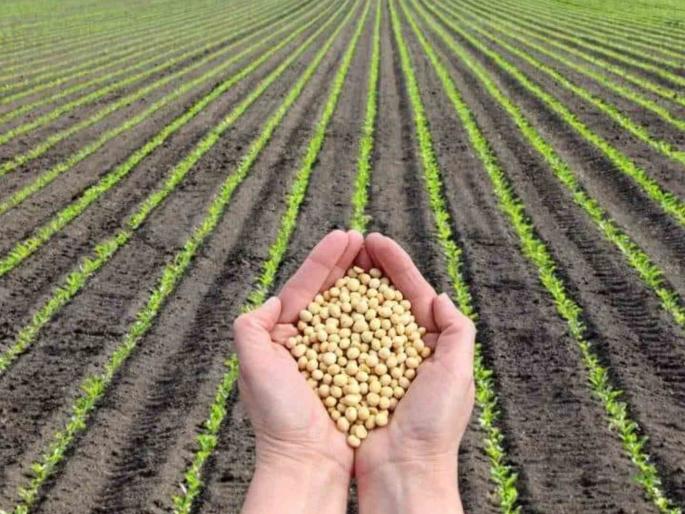 Farmer Harkhala, customer worry! Edible oil rises to Rs 25 per kg; Onion also increased in price | शेतकरी हरखला, ग्राहकाला चिंता ! खाद्यतेल किलोमागे २५ रुपयांपर्यंत वाढले; कांद्यालाही भाववाढ Farmer Harkhala, customer worry! Edible oil rises to Rs 25 per kg; Onion also increased in price | शेतकरी हरखला, ग्राहकाला चिंता ! खाद्यतेल किलोमागे २५ रुपयांपर्यंत वाढले; कांद्यालाही भाववाढ