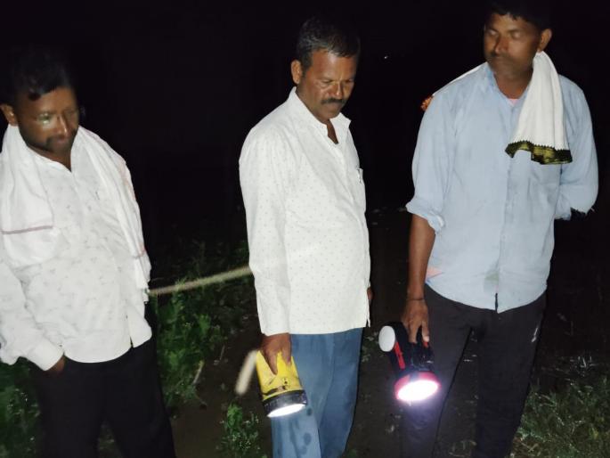 issue of soybean snail attack in Marathwada | मराठवाड्यात सोयाबीनच्या शेतकऱ्यांसाठी रात्र वैऱ्याची का ठरत आहे... issue of soybean snail attack in Marathwada | मराठवाड्यात सोयाबीनच्या शेतकऱ्यांसाठी रात्र वैऱ्याची का ठरत आहे...