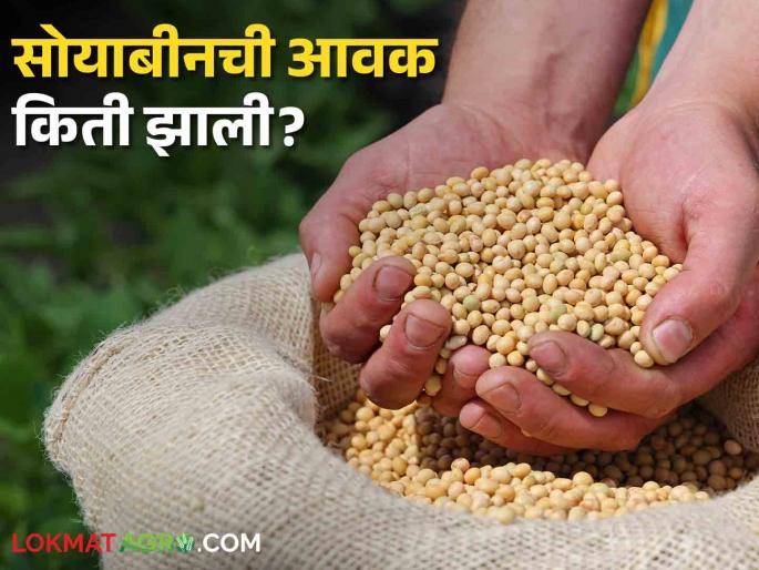 Latest News Todays Soyabean bajarbhav in barshi market yards check here details | Soyabean Bajarbhav : बार्शी बाजारात सोयाबीनला क्विंटलमागे सर्वाधिक दर, वाचा आजचे सोयाबीन बाजारभाव
