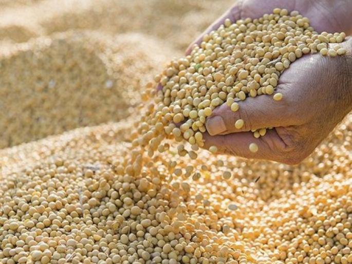 Soybean purchase Deadline extended until January 6 for soybean purchase registration | शेतकऱ्यांच्या कामाची बातमी...! सोयाबीन खरेदी नोंदणीसाठी ६ जानेवारीपर्यंत मुदतवाढ Soybean purchase Deadline extended until January 6 for soybean purchase registration | शेतकऱ्यांच्या कामाची बातमी...! सोयाबीन खरेदी नोंदणीसाठी ६ जानेवारीपर्यंत मुदतवाढ