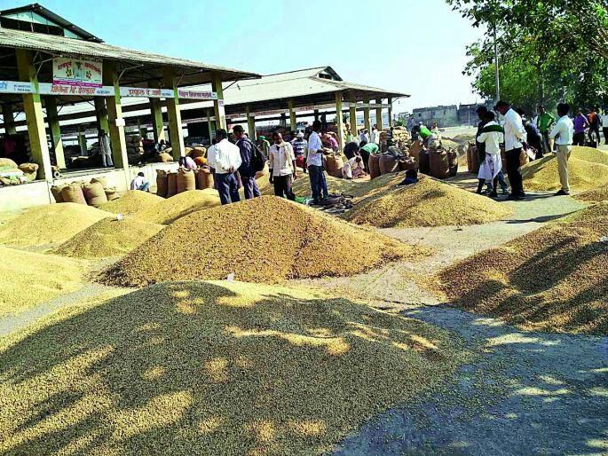 Mangaralpira: Nafed delayed the sale of goods! | मंगरुळपीर : ‘नाफेड’कडून मालाच्या चुकार्‍यांना विलंब!