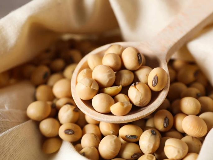 Soybean procurement only 2 percent, target was 1.4 lakh tonnes; Soybeans from farmers are over, now who will buy? | सोयाबीन खरेदी २ टक्केच, उद्दिष्ट होते १४ लाख टनांचे; शेतकऱ्यांकडील सोयाबीन संपले, आता खरेदी कोणती करणार? Soybean procurement only 2 percent, target was 1.4 lakh tonnes; Soybeans from farmers are over, now who will buy? | सोयाबीन खरेदी २ टक्केच, उद्दिष्ट होते १४ लाख टनांचे; शेतकऱ्यांकडील सोयाबीन संपले, आता खरेदी कोणती करणार?