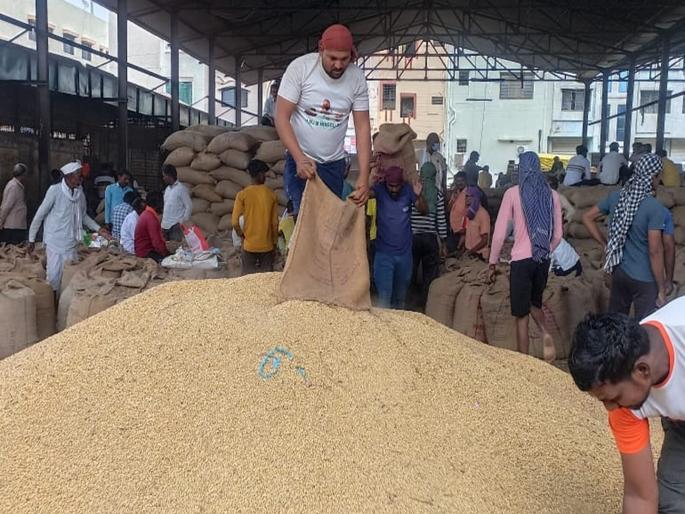 No value, but BP increased; The farmer cried next to soybeans! | भाव नाही, पण बीपी वाढला; सोयाबीन पुढं शेतकरी रडला! No value, but BP increased; The farmer cried next to soybeans! | भाव नाही, पण बीपी वाढला; सोयाबीन पुढं शेतकरी रडला!
