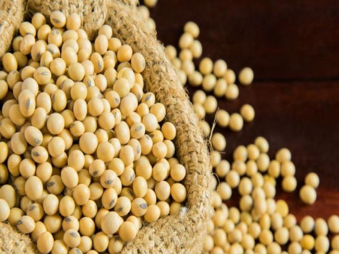 Price guarantee for soybeans is only on paper; Farmers affected by heavy rains are being looted in the market | सोयाबीनला दराची हमी कागदावरच; अतिवृष्टीग्रस्त शेतकऱ्यांची बाजारपेठेत सर्रास होतेय लूट Price guarantee for soybeans is only on paper; Farmers affected by heavy rains are being looted in the market | सोयाबीनला दराची हमी कागदावरच; अतिवृष्टीग्रस्त शेतकऱ्यांची बाजारपेठेत सर्रास होतेय लूट