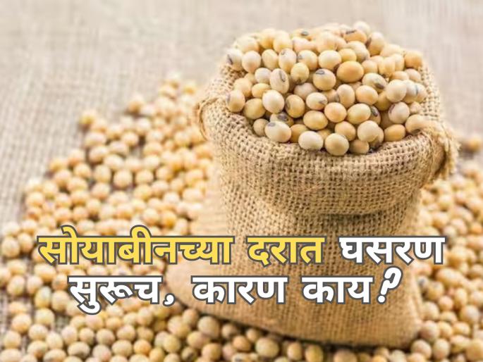 Global recession hits agriculture Imports of edible oil fall by 16 percent | जागतिक मंदीचा फटका, खाद्यतेलासह साेयाबीन, तेल व ढेपेच्या दरात घसरण सुरूच! Global recession hits agriculture Imports of edible oil fall by 16 percent | जागतिक मंदीचा फटका, खाद्यतेलासह साेयाबीन, तेल व ढेपेच्या दरात घसरण सुरूच!