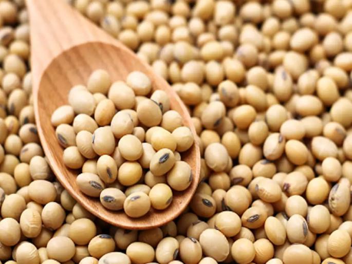 Will farmers benefit from the decision to purchase soybeans with guaranteed price? | हमीभावाने सोयाबीन खरेदीचा निर्णय, फायदा होणार ?; शेतकऱ्यांमध्ये साशंकता Will farmers benefit from the decision to purchase soybeans with guaranteed price? | हमीभावाने सोयाबीन खरेदीचा निर्णय, फायदा होणार ?; शेतकऱ्यांमध्ये साशंकता
