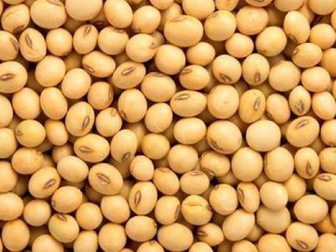 Raid on bogus seed godown in Satara, seizure of property worth Rs 2 crore; Both were charged in satara | साताऱ्यात बोगस बियाण्याच्या गोदामावर छापा, २ कोटींचा मुद्देमाल जप्त; दोघांवर गुन्हा दाखल Raid on bogus seed godown in Satara, seizure of property worth Rs 2 crore; Both were charged in satara | साताऱ्यात बोगस बियाण्याच्या गोदामावर छापा, २ कोटींचा मुद्देमाल जप्त; दोघांवर गुन्हा दाखल