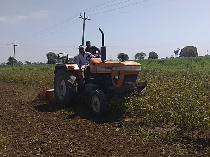 Soybean Crop Farmer Made Junkyard! | उभे सोयाबीन पिक शेतकर्याने केले जमीनदोस्त! Soybean Crop Farmer Made Junkyard! | उभे सोयाबीन पिक शेतकर्याने केले जमीनदोस्त!