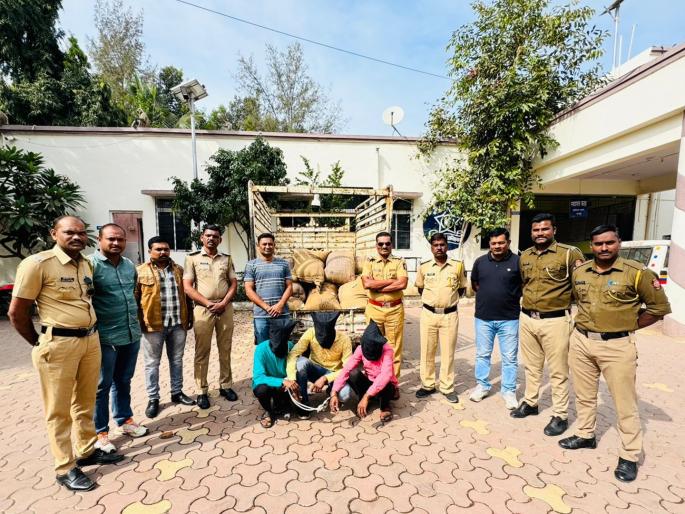 The thieves who stole 22 sacks of soybeans were arrested, the goods in question are also in the custody of the police | २२ पोते सोयाबीन चोरणारे चोरटे अटकेत, मुद्देमालही पोलिसांच्या ताब्यात The thieves who stole 22 sacks of soybeans were arrested, the goods in question are also in the custody of the police | २२ पोते सोयाबीन चोरणारे चोरटे अटकेत, मुद्देमालही पोलिसांच्या ताब्यात