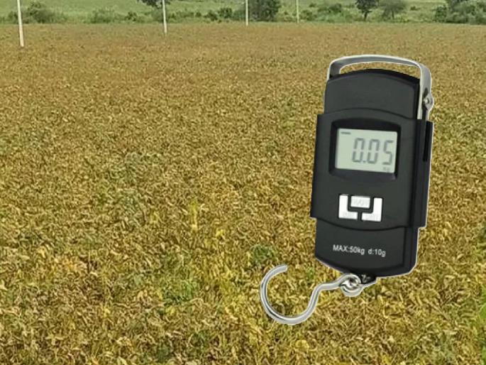 Fraud with farmers! Plot to defraud insurance by showing 2 kg less weight, crime against two people from the company | शेतकऱ्यांशी दगा! २ किलो कमी वजन दाखवून विमा बुडवण्याचा डाव, कंपनीच्या दोघांवर गुन्हा Fraud with farmers! Plot to defraud insurance by showing 2 kg less weight, crime against two people from the company | शेतकऱ्यांशी दगा! २ किलो कमी वजन दाखवून विमा बुडवण्याचा डाव, कंपनीच्या दोघांवर गुन्हा