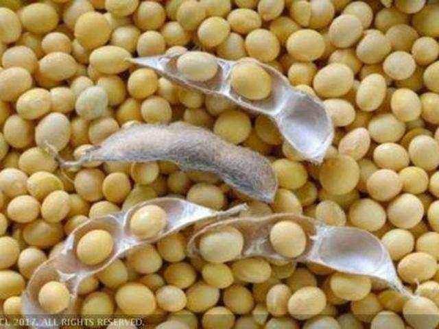 Farmers' tendency towards soybean storage due to possible increase in prices | दरवाढीच्या शक्यतेने सोयाबीन साठवणुकीकडे शेतकऱ्यांचा कल Farmers' tendency towards soybean storage due to possible increase in prices | दरवाढीच्या शक्यतेने सोयाबीन साठवणुकीकडे शेतकऱ्यांचा कल