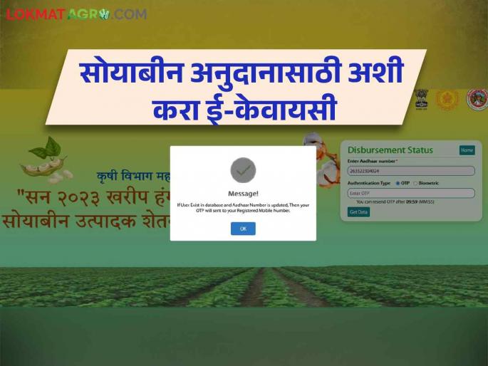 Soybean subsidy stuck due to KYC? Now how to do e-KYC on your mobile at home | सोयाबीन अनुदान केवायसीमुळे अडकलंय? आता घरच्याघरी तुमच्या मोबाईलवर कशी कराल ई-केवायसी Soybean subsidy stuck due to KYC? Now how to do e-KYC on your mobile at home | सोयाबीन अनुदान केवायसीमुळे अडकलंय? आता घरच्याघरी तुमच्या मोबाईलवर कशी कराल ई-केवायसी