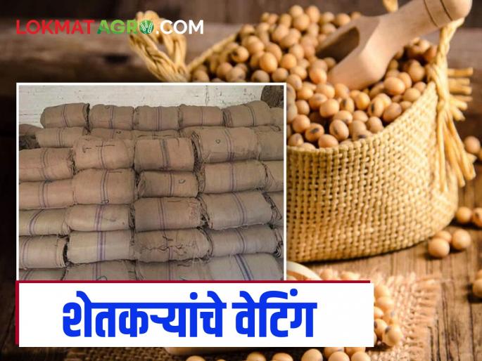 Soybean Market Update: Farmers waiting at 288 soybean centers in Vidarbha-Marathwada | Soybean Market Update: विदर्भ-मराठवाड्यातील २८८ सोयाबीन केंद्रांवर शेतकऱ्यांचे वेटिंग Soybean Market Update: Farmers waiting at 288 soybean centers in Vidarbha-Marathwada | Soybean Market Update: विदर्भ-मराठवाड्यातील २८८ सोयाबीन केंद्रांवर शेतकऱ्यांचे वेटिंग