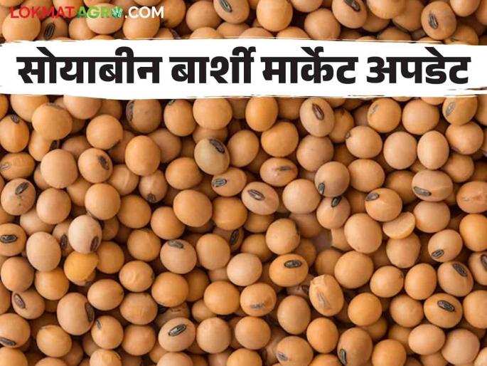 Soybean Bajar Bhav : Six to seven thousand bags soybeans arrival in Barshi market how much get market price | Soybean Bajar Bhav : बार्शी बाजारात सहा ते सात हजार कट्टे सोयाबीनची.. आवक कसा मिळतोय दर Soybean Bajar Bhav : Six to seven thousand bags soybeans arrival in Barshi market how much get market price | Soybean Bajar Bhav : बार्शी बाजारात सहा ते सात हजार कट्टे सोयाबीनची.. आवक कसा मिळतोय दर