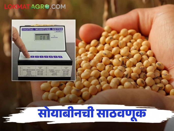 Soybean Biyane: How to store soybeans for better germination, read in detail | Soybean Biyane : सोयाबीनची उगवणशक्ती चांगली राहण्यासाठी कशी कराल साठवणूक वाचा सविस्तर Soybean Biyane: How to store soybeans for better germination, read in detail | Soybean Biyane : सोयाबीनची उगवणशक्ती चांगली राहण्यासाठी कशी कराल साठवणूक वाचा सविस्तर