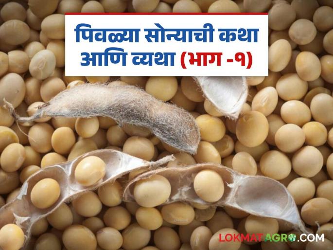 Soybean Market Update: latest news The entire day of Tuesday was spent in discussions about the extension; Read in detail | Soybean Market Update: मंगळवारचा अख्खा दिवस गेला मुदतवाढीच्या चर्चेत; मुदतवाढ मिळाली की नाही वाचा सविस्तर Soybean Market Update: latest news The entire day of Tuesday was spent in discussions about the extension; Read in detail | Soybean Market Update: मंगळवारचा अख्खा दिवस गेला मुदतवाढीच्या चर्चेत; मुदतवाढ मिळाली की नाही वाचा सविस्तर