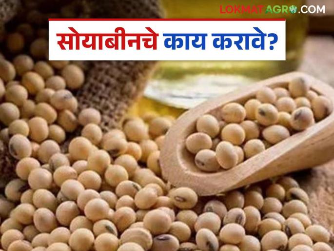Soybean procurement: Soybean is not purchased at guaranteed price despite registration Read in detail | Soybean procurement : सोयाबीनची नोंदणी करूनही हमीभावाने खरेदी होईना वाचा सविस्तर Soybean procurement: Soybean is not purchased at guaranteed price despite registration Read in detail | Soybean procurement : सोयाबीनची नोंदणी करूनही हमीभावाने खरेदी होईना वाचा सविस्तर