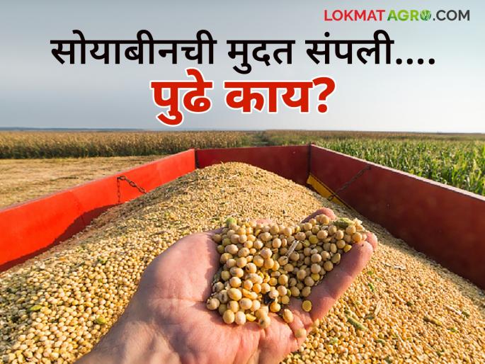 Soybean Market Update: farmers wants more days for soybean procurement | Soybean Market Update: सोयाबीन उत्पादकांची परवड संपेना जाणून घ्या कारण