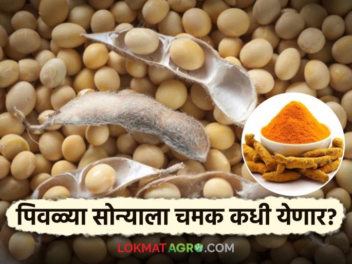 Market Update : When will the price crisis of agricultural products be resolved?  Read in detail | Market Update : शेतमालाची दरकोंडी सुटणार तरी कधी?  वाचा सविस्तर