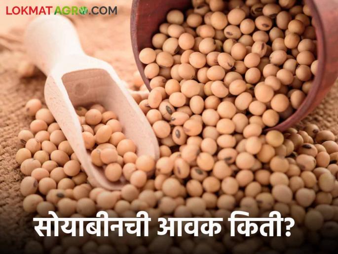 Soybean Bajar Bhav: Soybean arrival in the state market 85661 quintals; Read in detail what the price is getting | Soybean Bajar Bhav : राज्यातील बाजारात सोयाबीनची आवक ८५६६१ क्विंटल; काय मिळतोय भाव ते वाचा सविस्तर Soybean Bajar Bhav: Soybean arrival in the state market 85661 quintals; Read in detail what the price is getting | Soybean Bajar Bhav : राज्यातील बाजारात सोयाबीनची आवक ८५६६१ क्विंटल; काय मिळतोय भाव ते वाचा सविस्तर