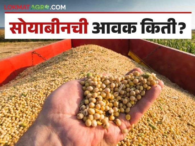 Soybean Bajar Bhav : Soybean arrivals increased in this market; Read in detail what is the rate | Soybean Bajar Bhav : सोयाबीनची आवक 'या' बाजारात वाढली; काय मिळतोय दर ते वाचा सविस्तर Soybean Bajar Bhav : Soybean arrivals increased in this market; Read in detail what is the rate | Soybean Bajar Bhav : सोयाबीनची आवक 'या' बाजारात वाढली; काय मिळतोय दर ते वाचा सविस्तर