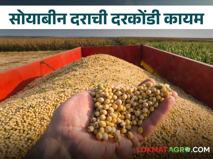 Soybeans for sale at the beginning of Kharipa; However, as the price crisis continues, the farmers are disappointed | खरिपाच्या तोंडावर सोयाबीन विक्रीला; दरकोंडी कायम असल्याने शेतकऱ्यांच्या पदरी निराशा Soybeans for sale at the beginning of Kharipa; However, as the price crisis continues, the farmers are disappointed | खरिपाच्या तोंडावर सोयाबीन विक्रीला; दरकोंडी कायम असल्याने शेतकऱ्यांच्या पदरी निराशा