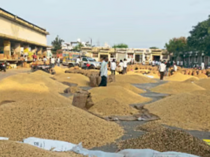 Farmers are wondering how they will be able to purchase 2 lakh quintals of soybeans in four days. | यक्षप्रश्न! दिवस चार अन् २ लाख क्विंटल सोयाबीन? शेतकरी धास्तावले Farmers are wondering how they will be able to purchase 2 lakh quintals of soybeans in four days. | यक्षप्रश्न! दिवस चार अन् २ लाख क्विंटल सोयाबीन? शेतकरी धास्तावले