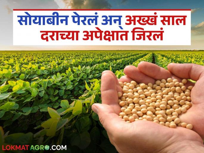 Soybean Market Update: Soybean prices disappointed; Some kept them at home, while others sold them at a low price. Read in detail | Soybean Market Update: सोयाबीन दराने केला भ्रमनिरास; कुणी घरातच ठेवलं, तर कुणी बेभाव विकलं वाचा सविस्तर Soybean Market Update: Soybean prices disappointed; Some kept them at home, while others sold them at a low price. Read in detail | Soybean Market Update: सोयाबीन दराने केला भ्रमनिरास; कुणी घरातच ठेवलं, तर कुणी बेभाव विकलं वाचा सविस्तर