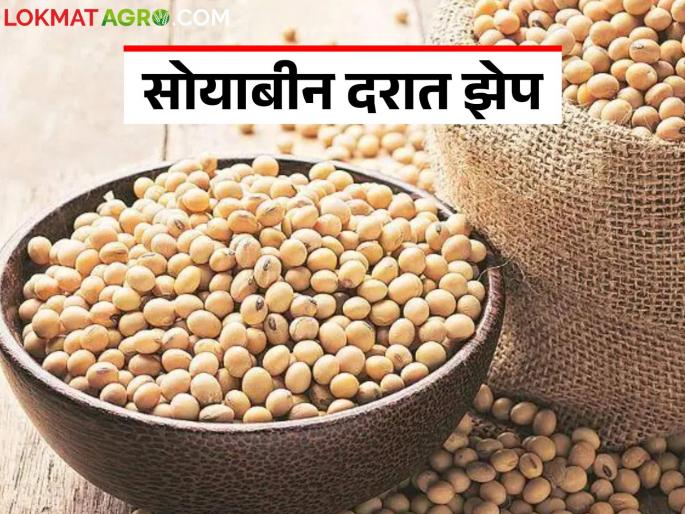 latest news Soybean Market Update: Soybean prices increase rapidly on the eve of sowing; Promise or illusion? Read in detail | Soybean Market Update : पेरणीच्या तोंडावर सोयाबीन दर झपाट्याने वधारले; आश्वासन की आभास? वाचा सविस्तर latest news Soybean Market Update: Soybean prices increase rapidly on the eve of sowing; Promise or illusion? Read in detail | Soybean Market Update : पेरणीच्या तोंडावर सोयाबीन दर झपाट्याने वधारले; आश्वासन की आभास? वाचा सविस्तर