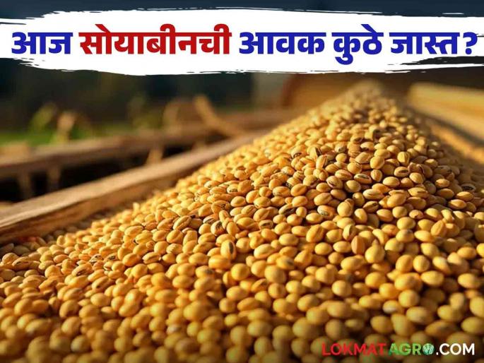 Soybean Bajar Bhav : Yellow Soybean arrival is highest in Latur market; Read more about what you got | Soybean Bajar Bhav : लातुरच्या बाजारात पिवळ्या सोयाबीनची आवक सर्वाधिक; काय मिळाले दर वाचा सविस्तर Soybean Bajar Bhav : Yellow Soybean arrival is highest in Latur market; Read more about what you got | Soybean Bajar Bhav : लातुरच्या बाजारात पिवळ्या सोयाबीनची आवक सर्वाधिक; काय मिळाले दर वाचा सविस्तर